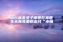 工廠宿舍女子疼得打滾醫生從她耳里取出只“小強”