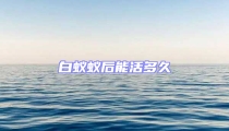白蟻蟻后能活多久