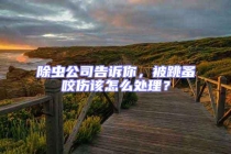 除蟲(chóng)公司告訴你，被跳蚤咬傷該怎么處理？