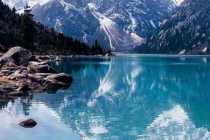 深圳病媒生物預防控制-深圳殺蟲除蟲公司的服務標準