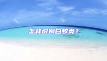 怎樣識(shí)別白蟻類？
