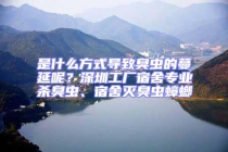 是什么方式導致臭蟲的蔓延呢？深圳工廠宿舍專業殺臭蟲、宿舍滅臭蟲蟑螂