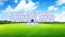 治白蟻用什么藥 殺白蟻藥 白蟻滅治藥 認準特效防治白蟻藥 白蟻藥械批發(fā)報價