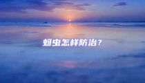 蚜蟲怎樣防治？