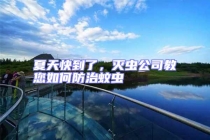 夏天快到了，滅蟲(chóng)公司教您如何防治蚊蟲(chóng)