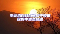專(zhuān)業(yè)治白蟻白蟻屬于較低級(jí)的半變態(tài)昆蟲(chóng)
