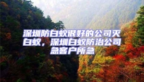 深圳防白蟻很好的公司滅白蟻，深圳白蟻防治公司急客戶所急