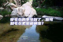 穿毛衣的季節到了，你可知毛衣更愛藏螨蟲？