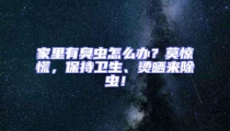 家里有臭蟲怎么辦？莫驚慌，保持衛(wèi)生、燙曬來除蟲！