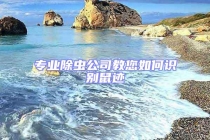 專業除蟲公司教您如何識別鼠跡