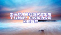 怎么樣才能知道家里出現了白蟻呢？白蟻防治公司為您解答