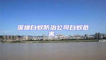 深圳白蟻防治公司白蟻危害-