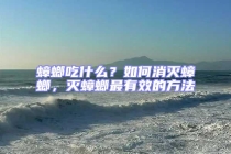 蟑螂吃什么？如何消滅蟑螂，滅蟑螂最有效的方法