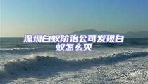 深圳白蟻防治公司發(fā)現(xiàn)白蟻怎么滅