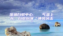 深圳白蟻中心：  氣溫上升，白蟻扮演“神風突擊”