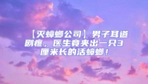【滅蟑螂公司】男子耳道劇疼，醫(yī)生竟夾出一只3厘米長(zhǎng)的活蟑螂！