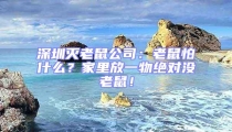 深圳滅老鼠公司：老鼠怕什么？家里放一物絕對沒老鼠！