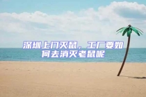 深圳上門滅鼠，工廠要如何去消滅老鼠呢