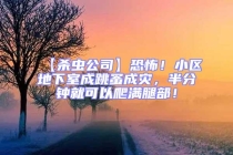 【殺蟲公司】恐怖！小區地下室成跳蚤成災，半分鐘就可以爬滿腿部！