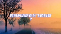 如何防治正在分飛的白蟻？
