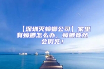 【深圳滅蟑螂公司】家里有蟑螂怎么辦，蟑螂竟然會假死！