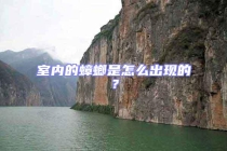 室內的蟑螂是怎么出現的？