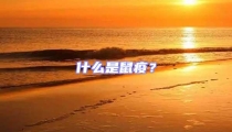 什么是鼠疫？