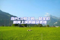 當PCO收工時，鼠寶們瞬間上演的復雜表情