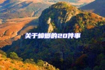 關(guān)于蟑螂的20件事