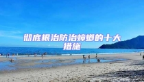 徹底根治防治蟑螂的十大措施