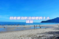 徹底根治防治蟑螂的十大措施
