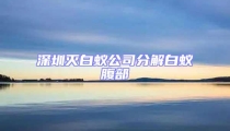 深圳滅白蟻公司分解白蟻腹部