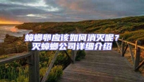 蟑螂卵應該如何消滅呢？滅蟑螂公司詳細介紹