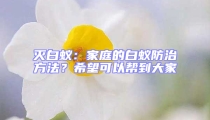 滅白蟻：家庭的白蟻防治方法？希望可以幫到大家