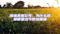 深圳殺蟲(chóng)公司：為什么說(shuō)蟑螂是當(dāng)今防治難度