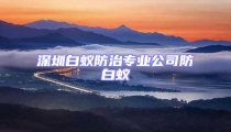 深圳白蟻防治專業(yè)公司防白蟻
