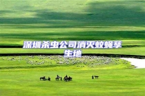 深圳殺蟲(chóng)公司消滅蚊蠅孳生地