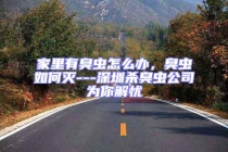 家里有臭蟲怎么辦，臭蟲如何滅---深圳殺臭蟲公司為你解憂