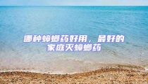 哪種蟑螂藥好用，最好的家庭滅蟑螂藥