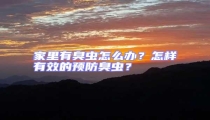 家里有臭蟲怎么辦？怎樣有效的預(yù)防臭蟲？