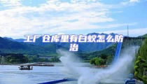 工廠倉(cāng)庫(kù)里有白蟻怎么防治