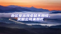 辦公室出現老鼠不用慌，滅鼠公司來幫忙