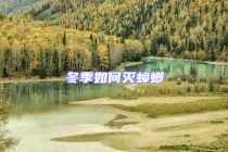 冬季如何滅蟑螂