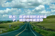 夏天，你還得提防這種蟲子，被咬后可能致命