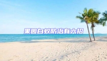 果園白蟻防治有六招
