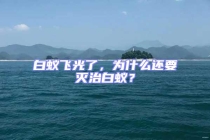 白蟻飛光了，為什么還要滅治白蟻？