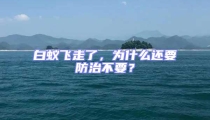 白蟻飛走了，為什么還要防治不要？