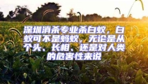 深圳消殺專業殺白蟻，白蟻可不是螞蟻，無論是從個頭、長相、還是對人類的危害性來說