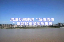 洛浦公園使用“以蟲治蟲”生物技術(shù)法防控蟲害