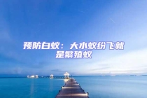 預防白蟻：大水蟻紛飛就是繁殖蟻